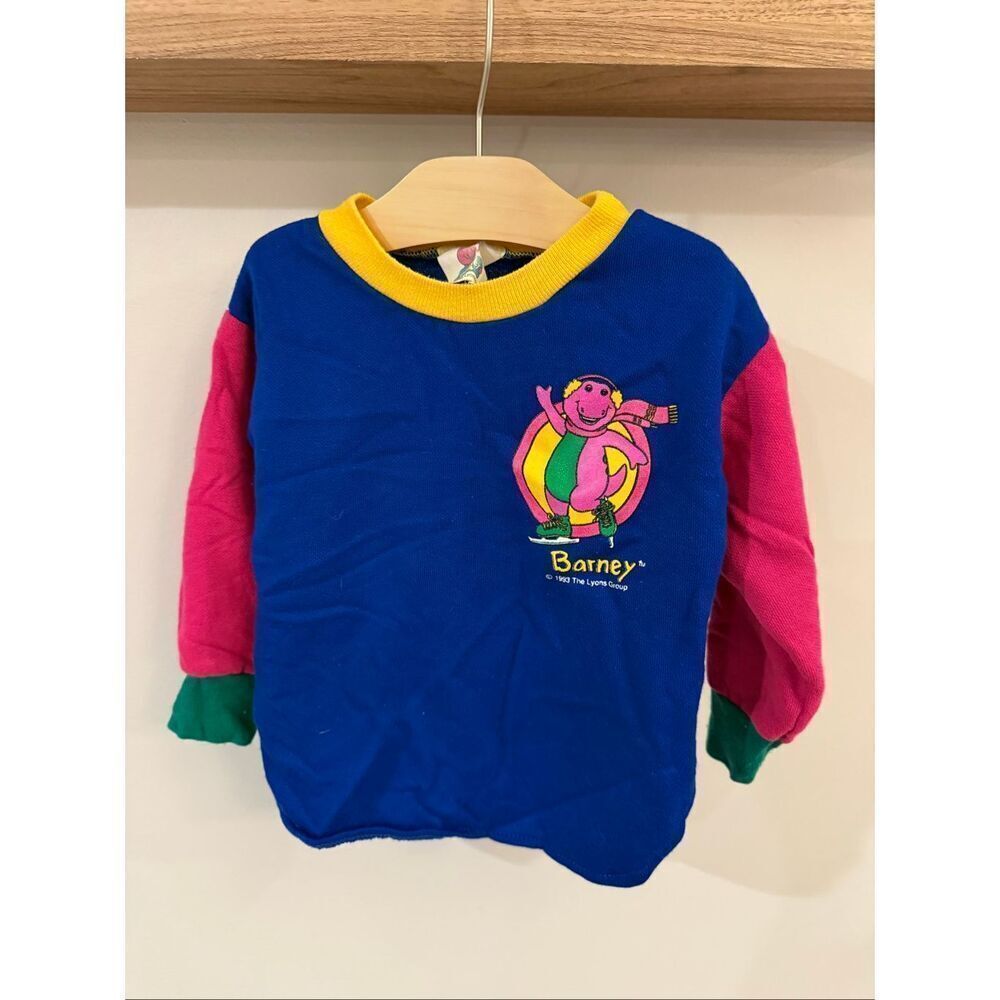 Vintage 1992/1993 Barney Colorblock Crewneck Toddler 3T